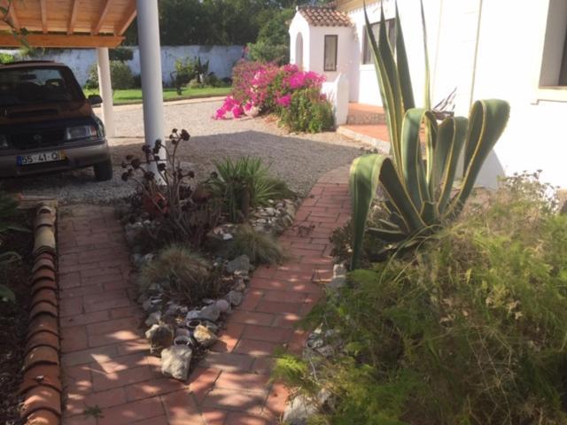 Casa Mimosa Bed & Breakfast Sao Bras de Alportel Exterior photo